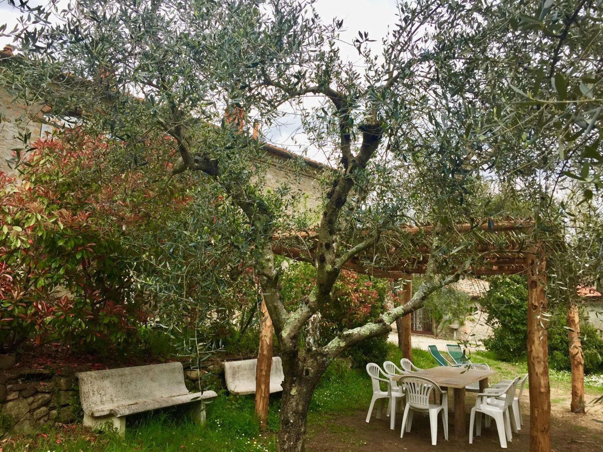 Agriturismo Fattoria Celle Figline Valdarno Quarto foto