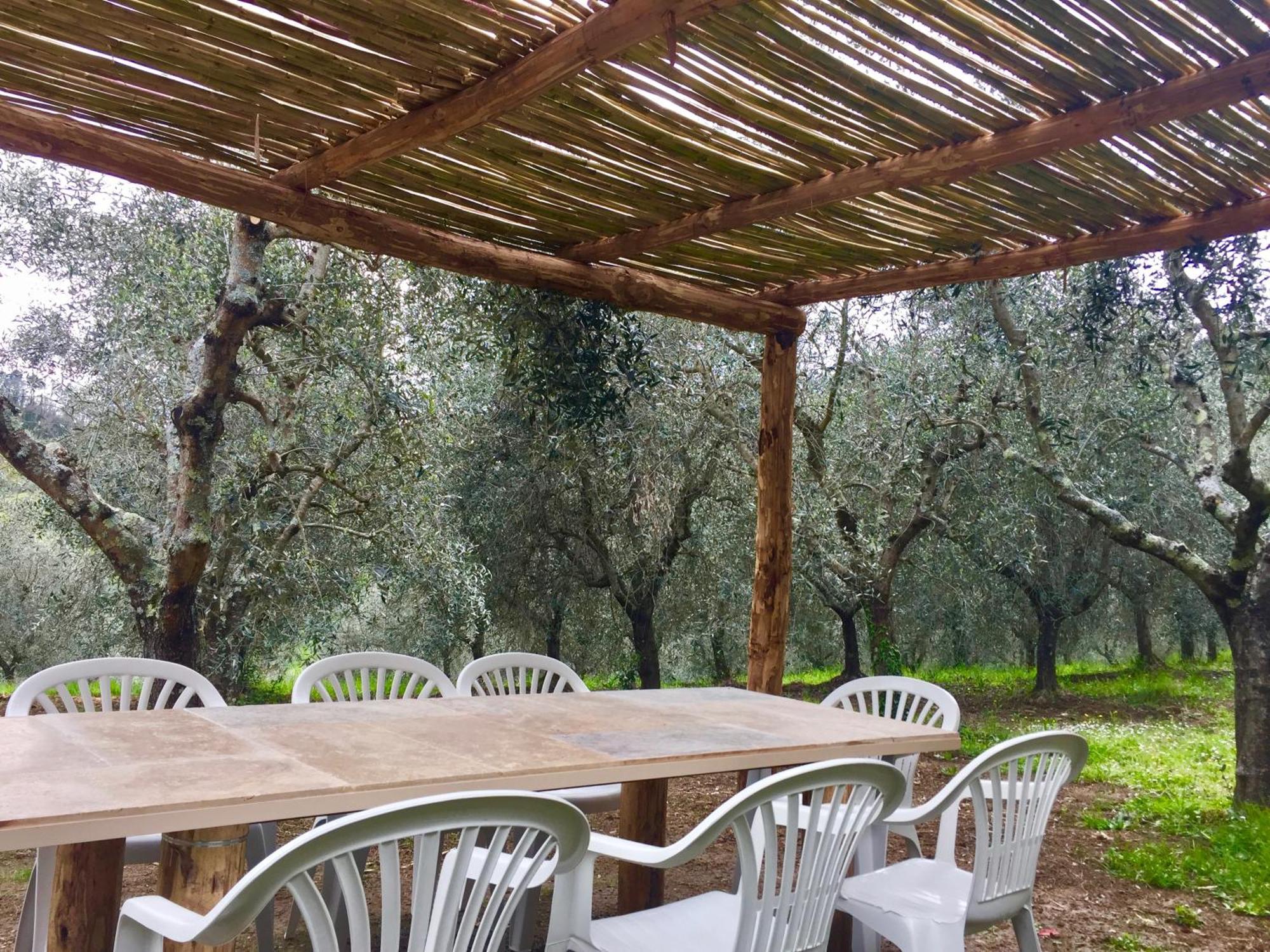 Agriturismo Fattoria Celle Figline Valdarno Quarto foto
