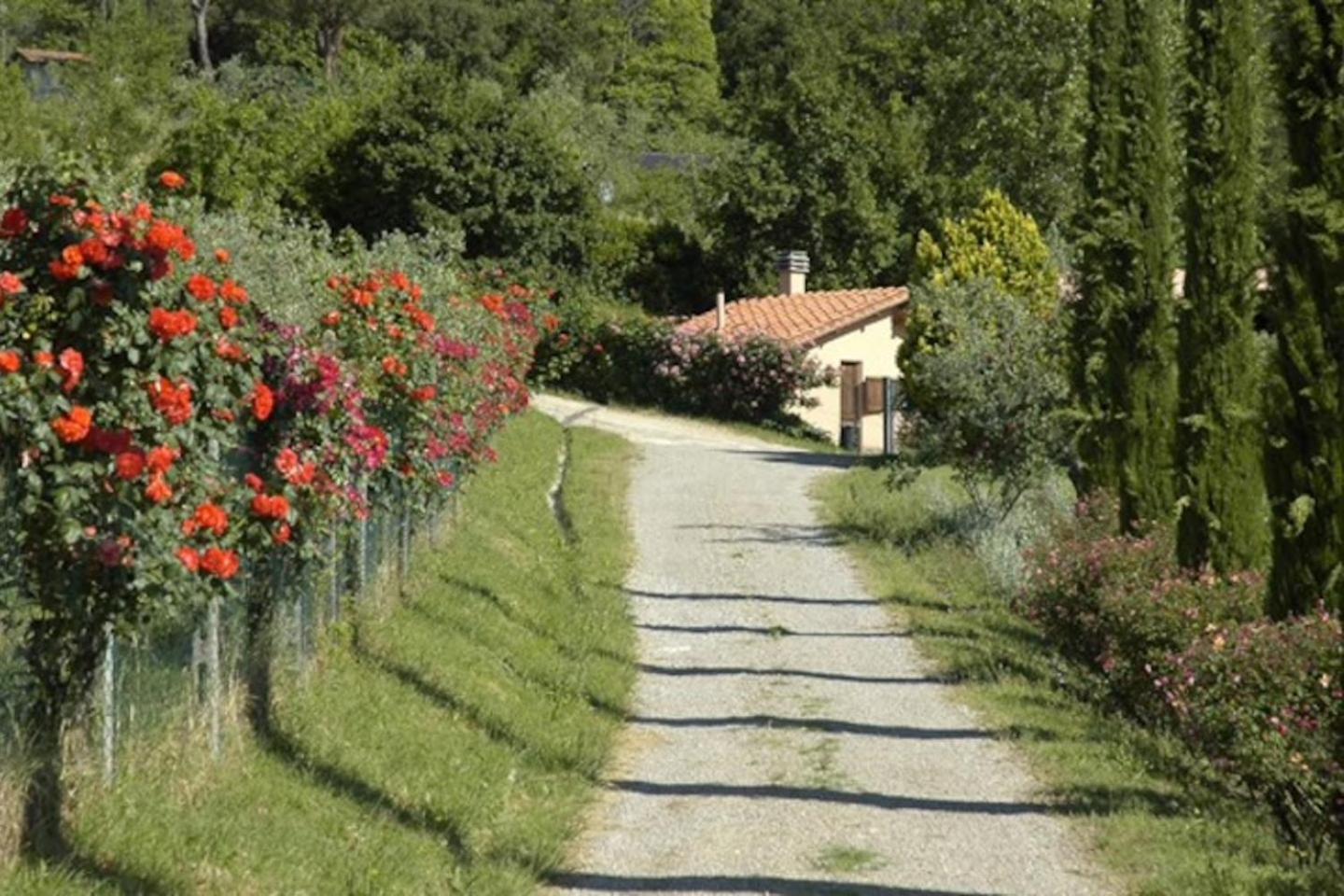 Agriturismo Fattoria Celle Figline Valdarno Quarto foto